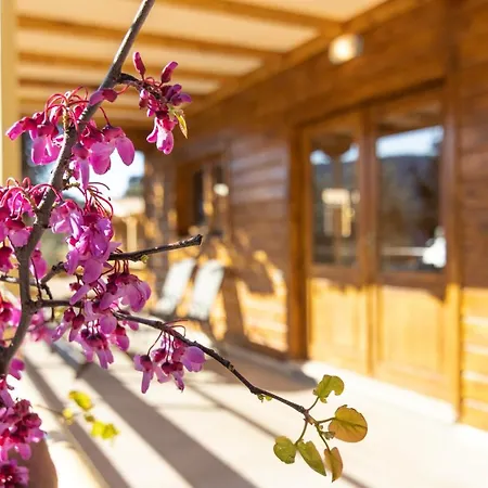 Daire Agrelia Homes 2 Dragano