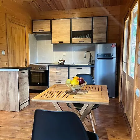 Daire Agrelia Homes 2 Dragano