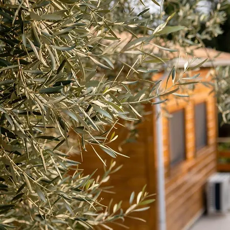 Agrelia Homes 2 * Dragano