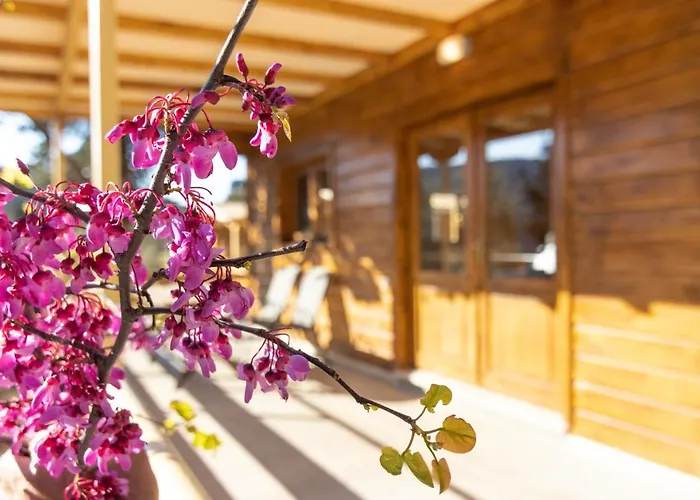 Appartement Agrelia Homes 2 Dragano