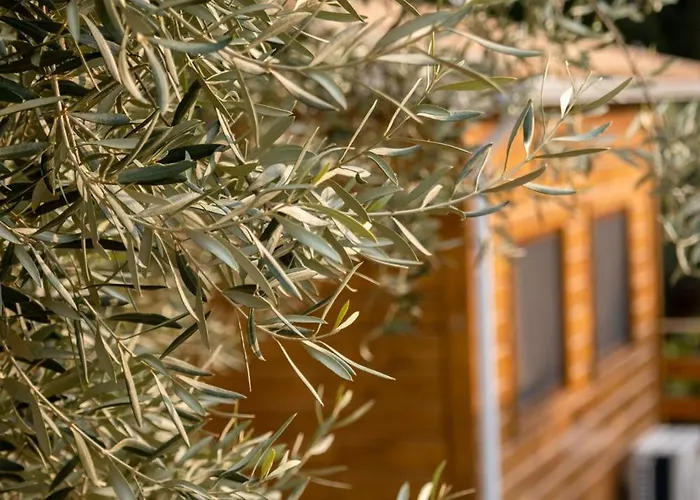 Agrelia Homes 2 * Dragano